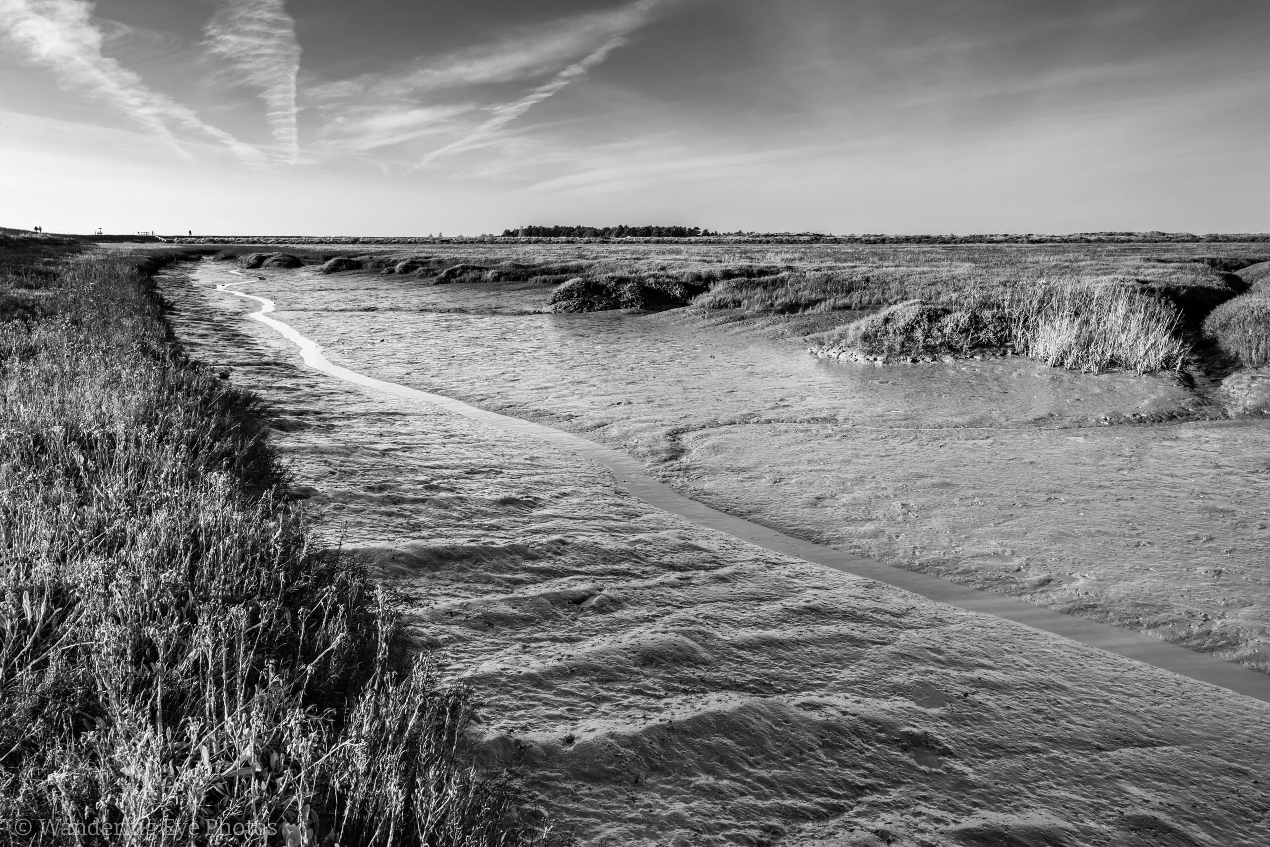 11.17 15.00.12   DSC00582